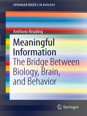 cover image of Meaningful Information